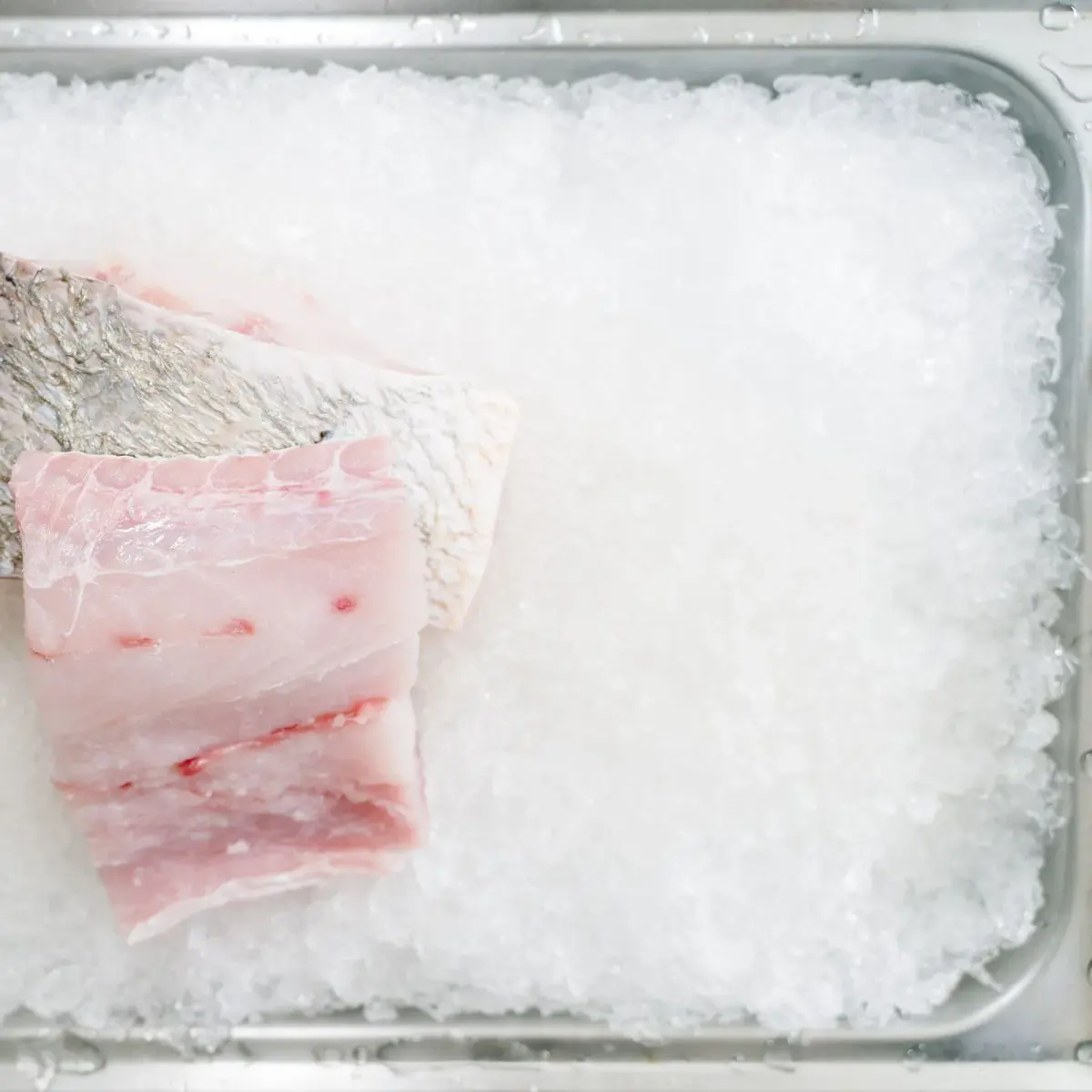 金目鱸魚排(去刺)